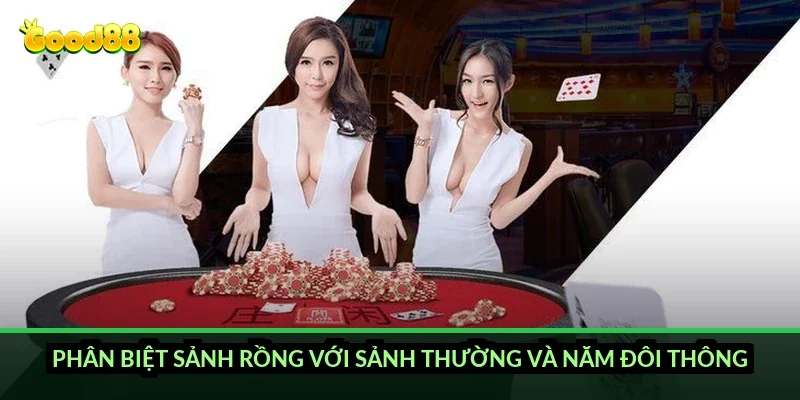 Sâm lốc đánh sảnh rồng Good88: hiểu gốc rồi mới đánh 3 Phân biệt sảnh rồng với sảnh thường và năm đôi thông